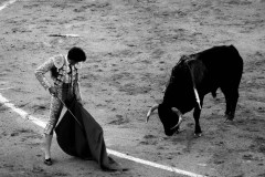 Bullfight, Madrid, 2017.