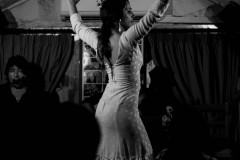 Flamenco Show in Granada, 2017.