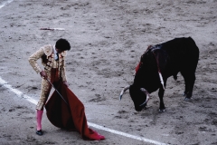 Torrero, Madrid, 2017.