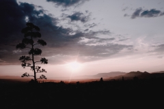 Granada, 2018.