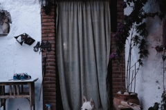 Granada, 2018.