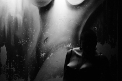 Dancer